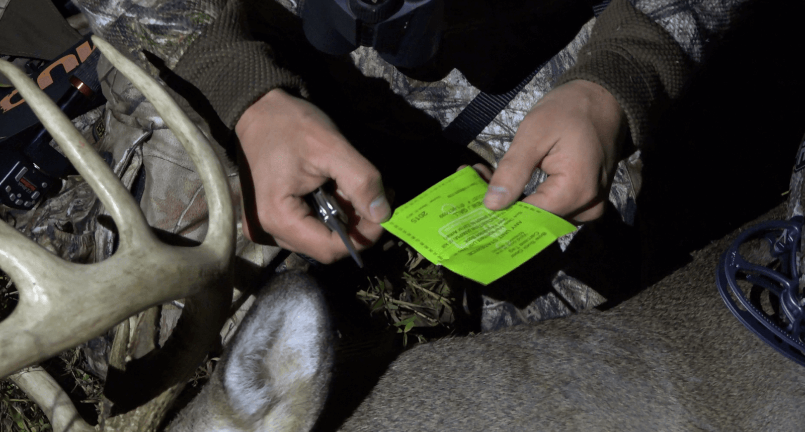 Illustration comparing hunting licenses and species tags