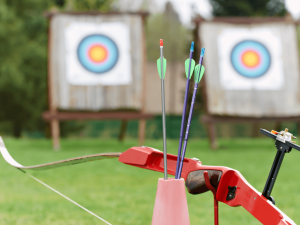 The 7 Key Differences Between Longbows and Short Bows