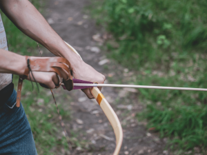 archery Short bow